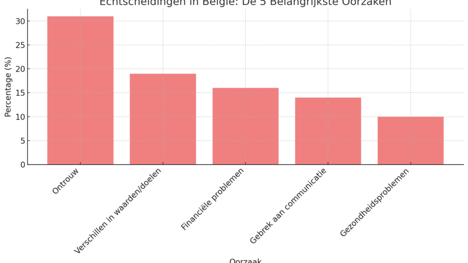 Echtscheidingen in België: De 5 Belangrijkste Oorzaken